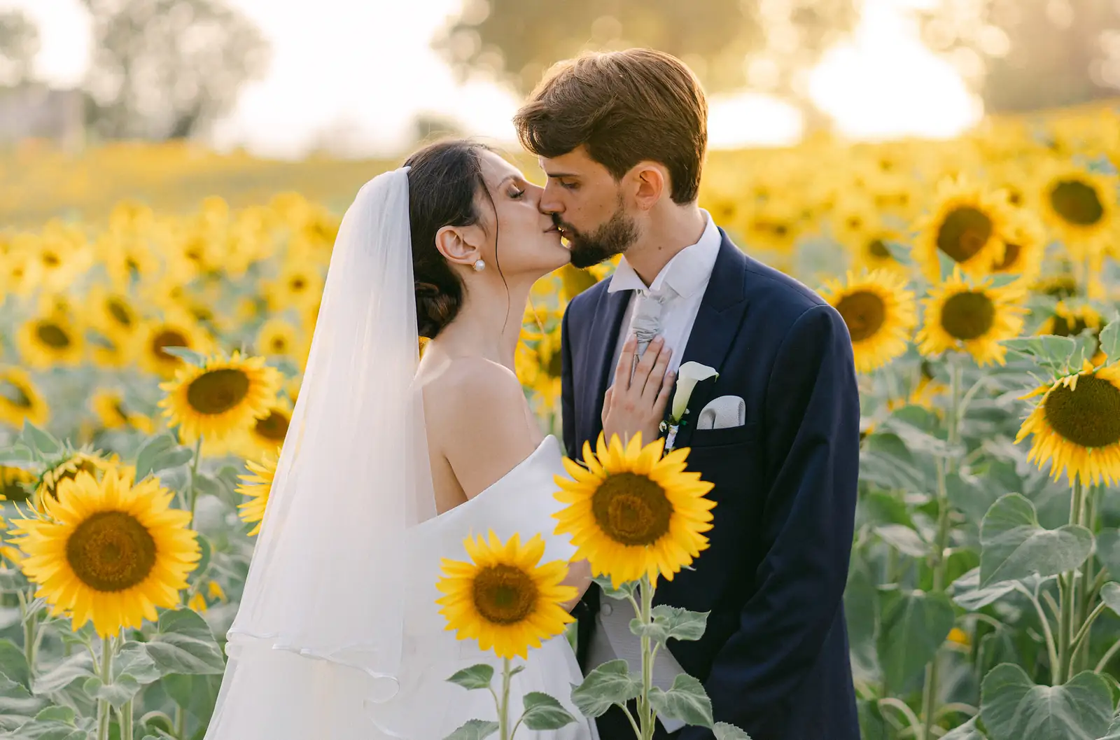 Il bacio degli sposi in un campo di girasoli in Umbria